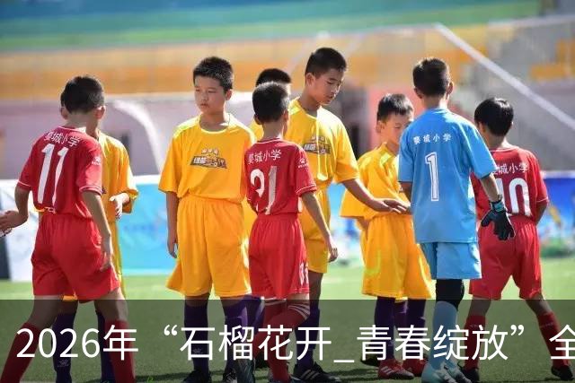 2026年“石榴花开 青春绽放”全国青少年女子足球民族团结友谊赛在新疆开幕